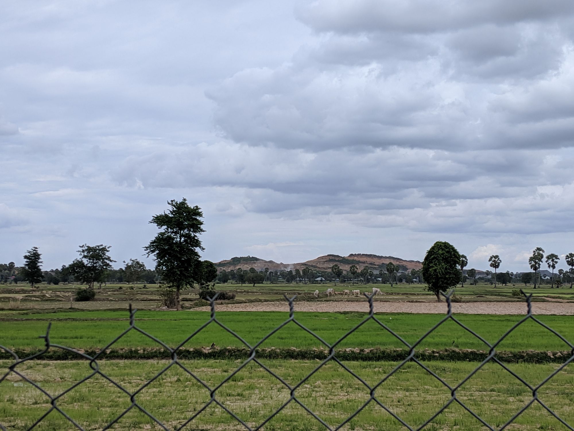 A picture containing outdoor, grass, cloud, tree

Description automatically generated