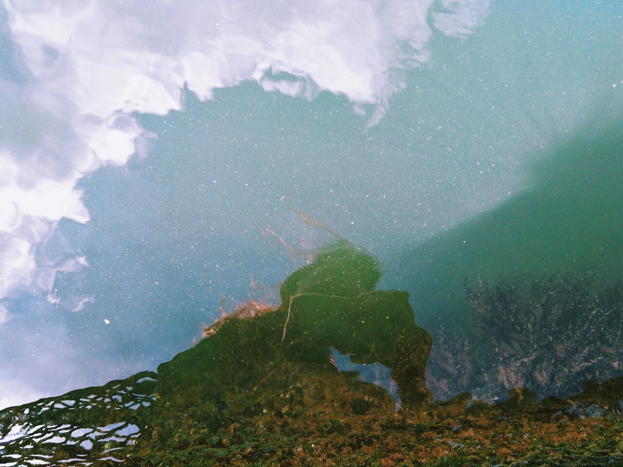 A close-up of a body of water

Description automatically generated with low confidence