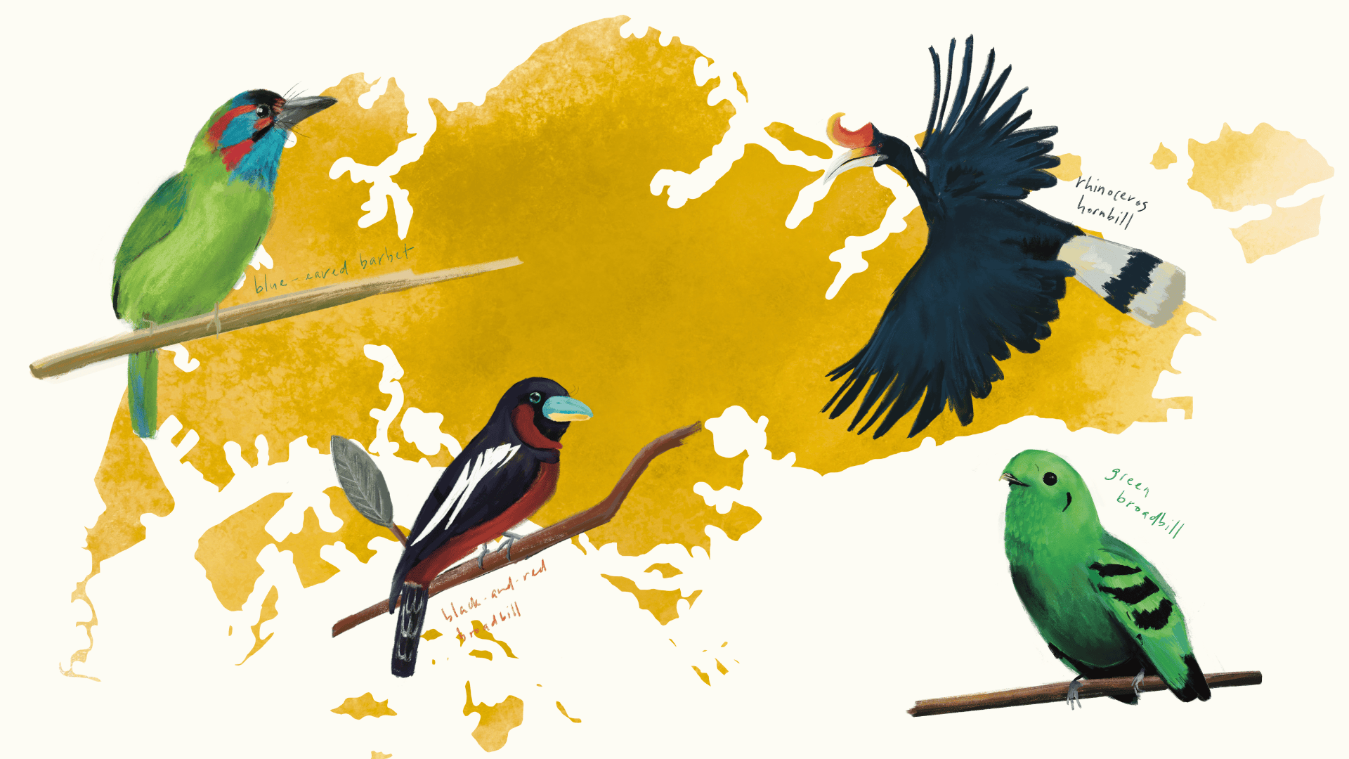 Winged woes: a historical look at birds in Singapore