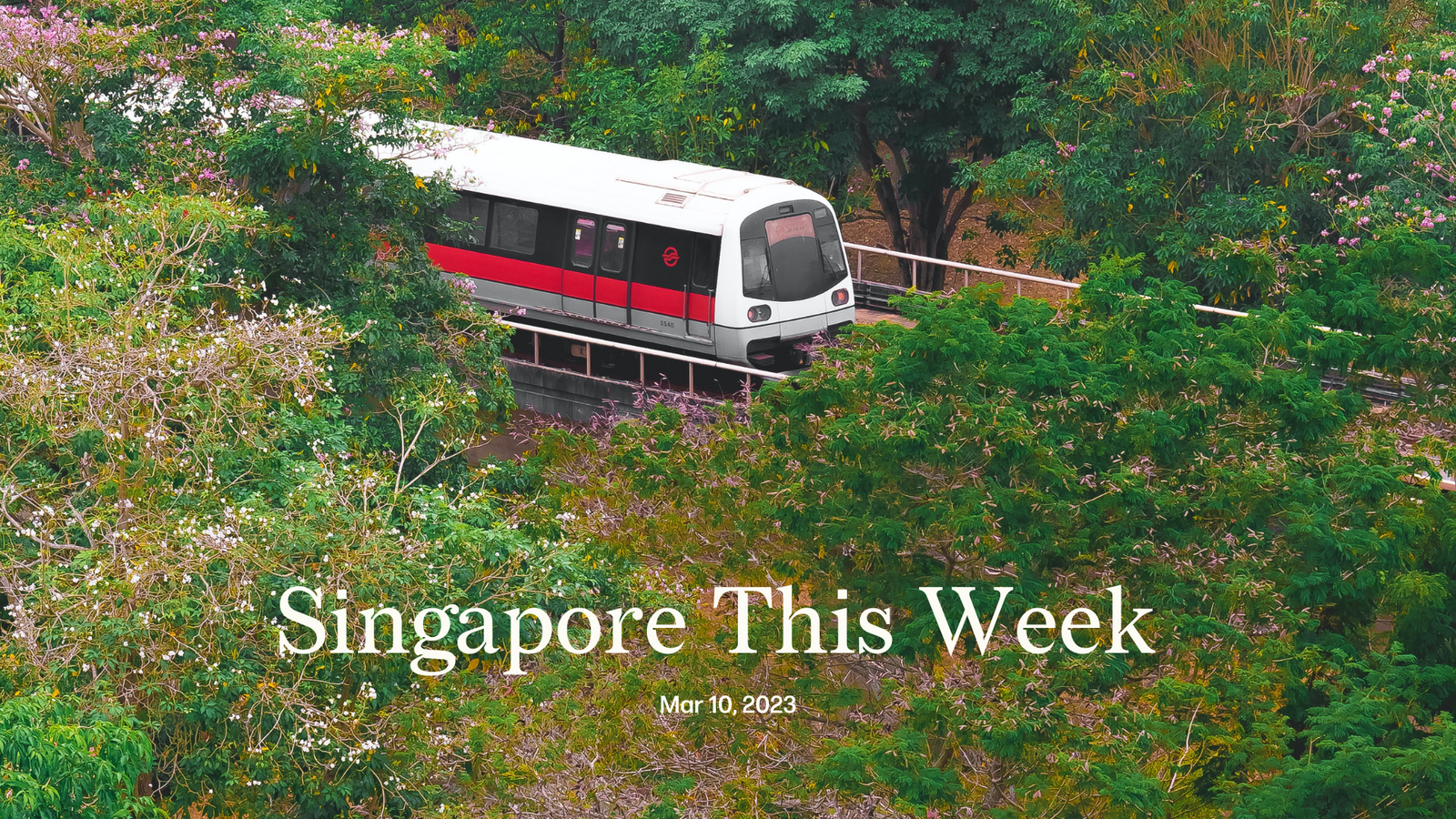 Singapore This Week