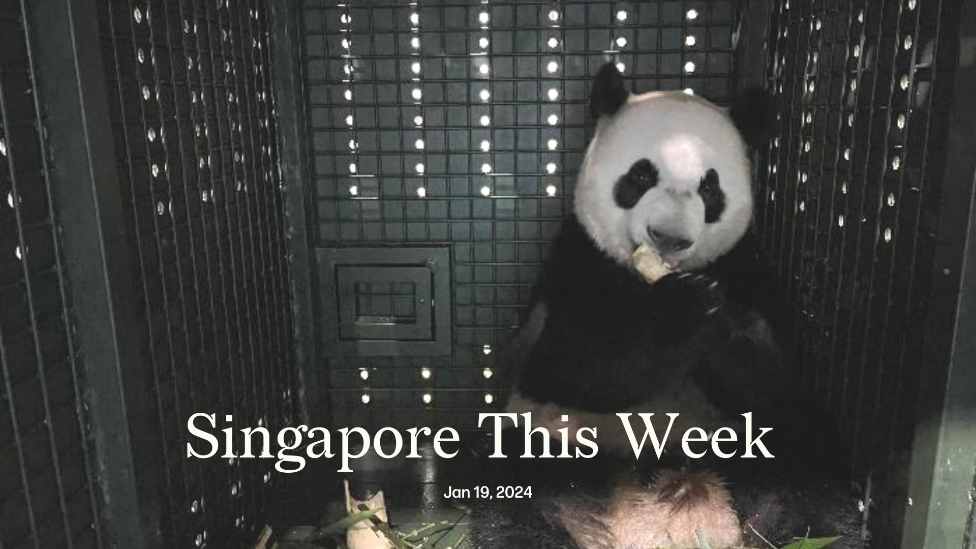 Singapore This Week