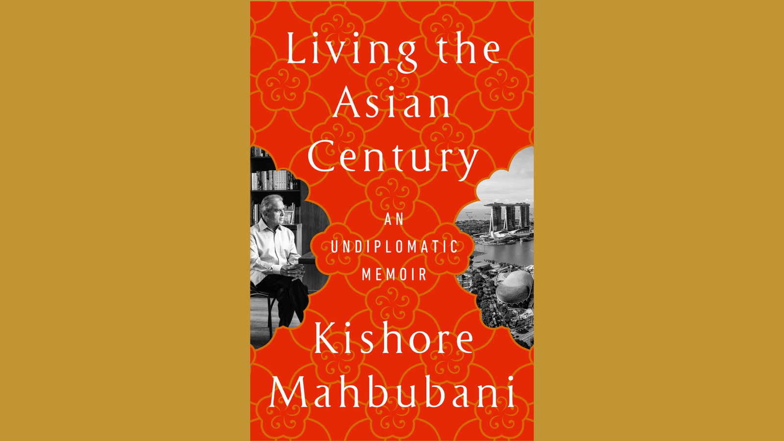 Kishore Mahbubani tries to be undiplomatic