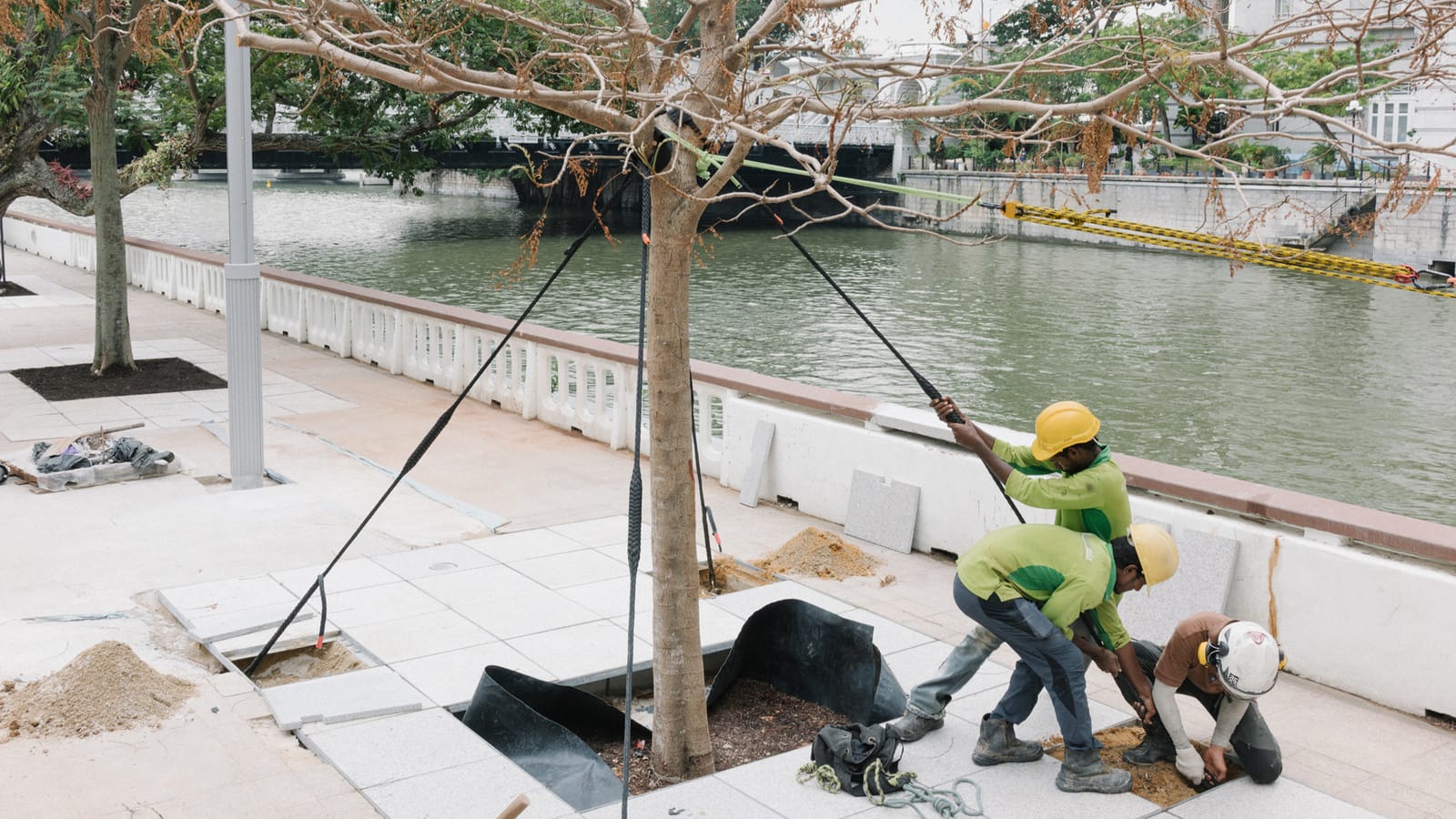 Singapore is not AI: technonature and agentic ecologies