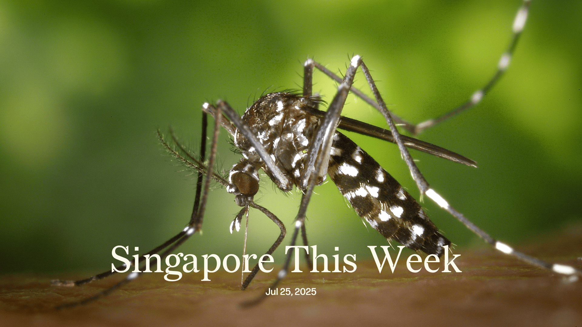 Singapore This Week