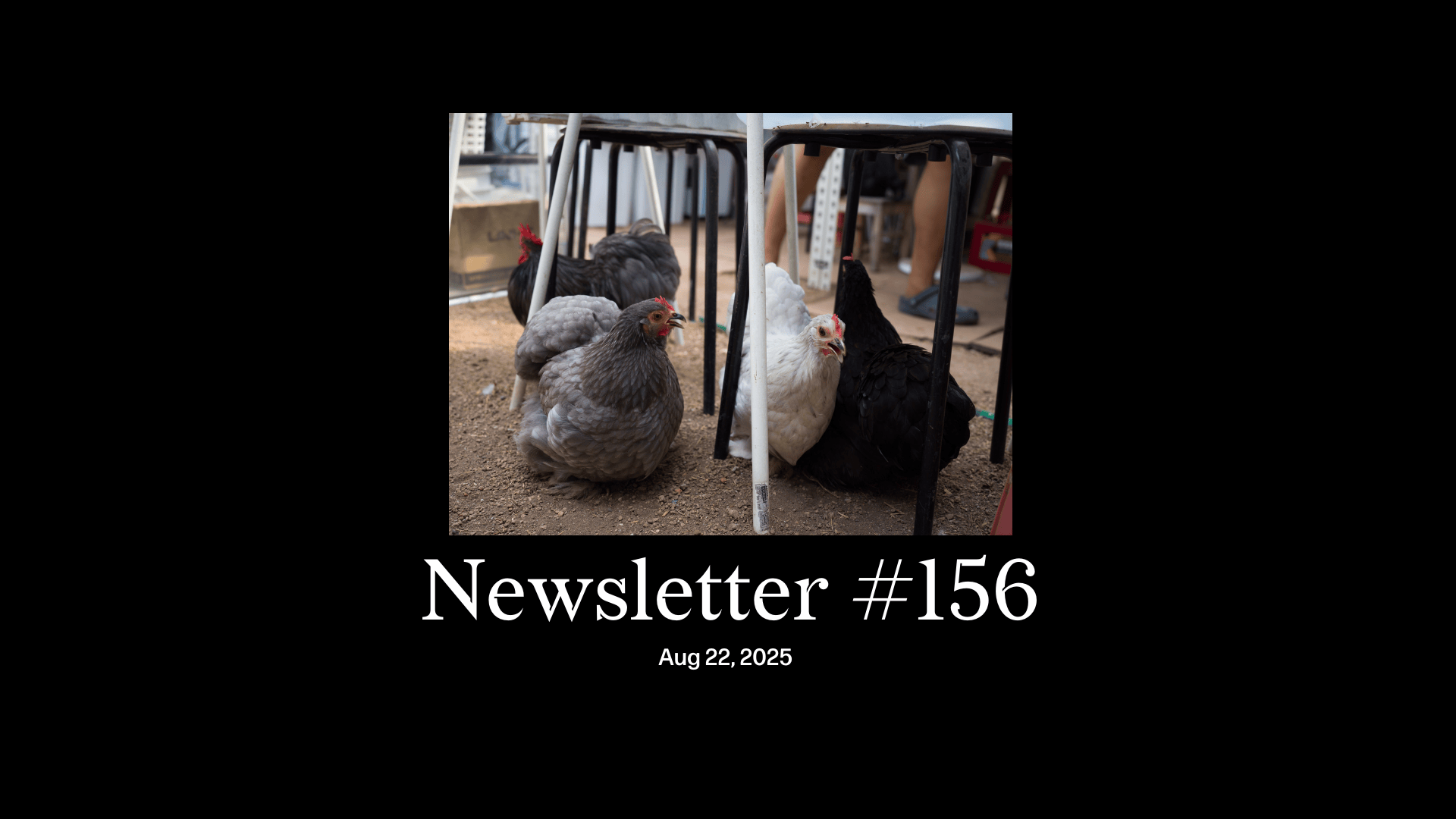 #156: NDR, vapes, and a profile of modern SG farmers