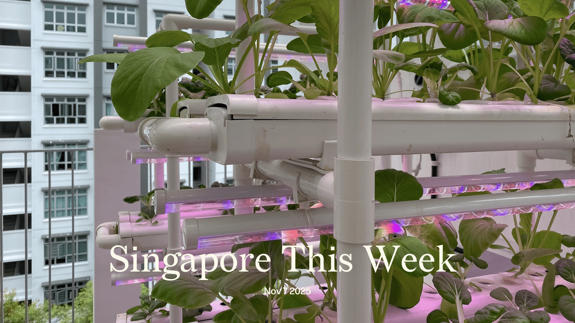 Singapore This Week