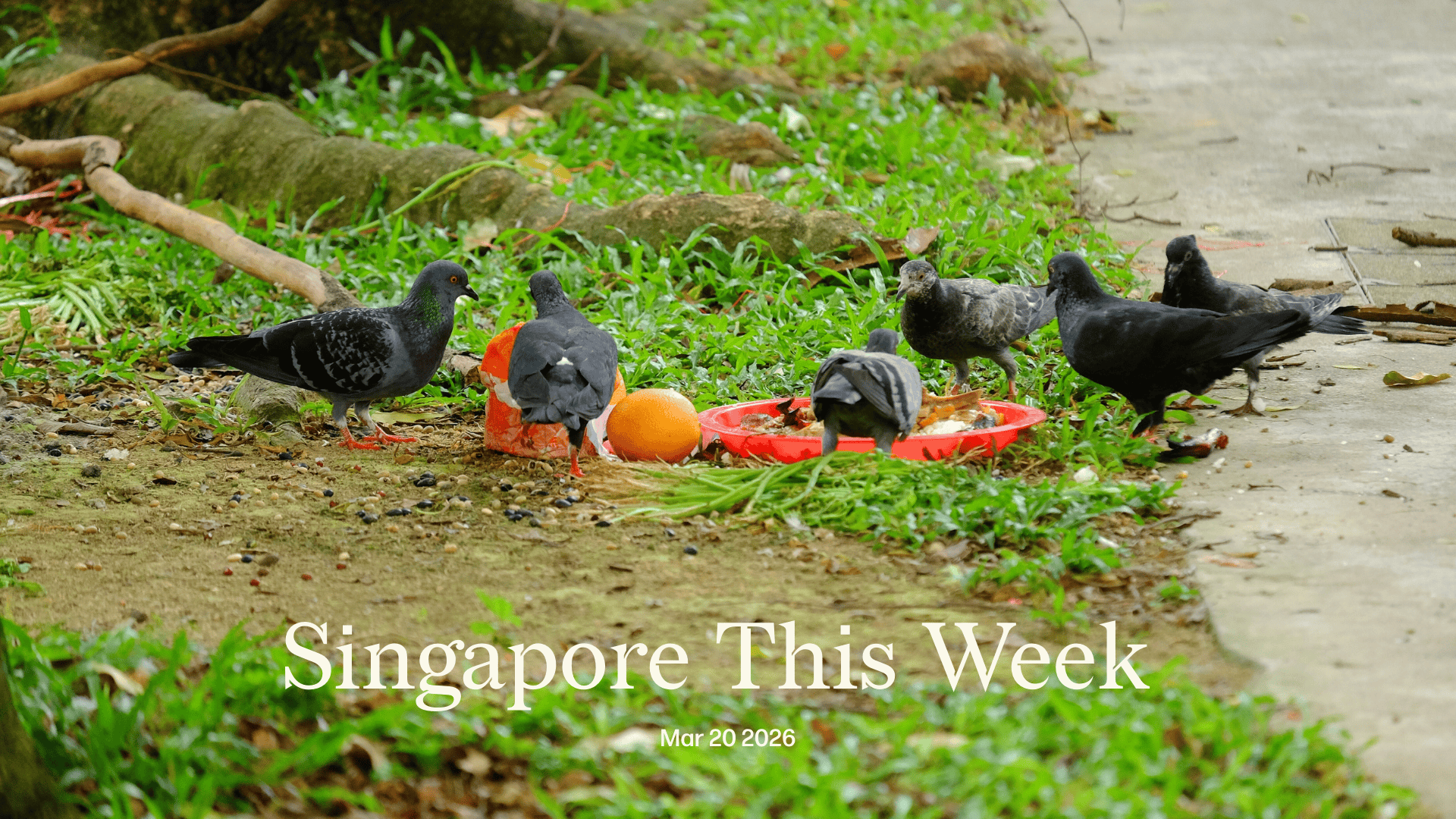 Singapore This Week