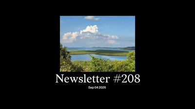 #208: Riau, and the impact of SG’s ‘clean’ energy drive