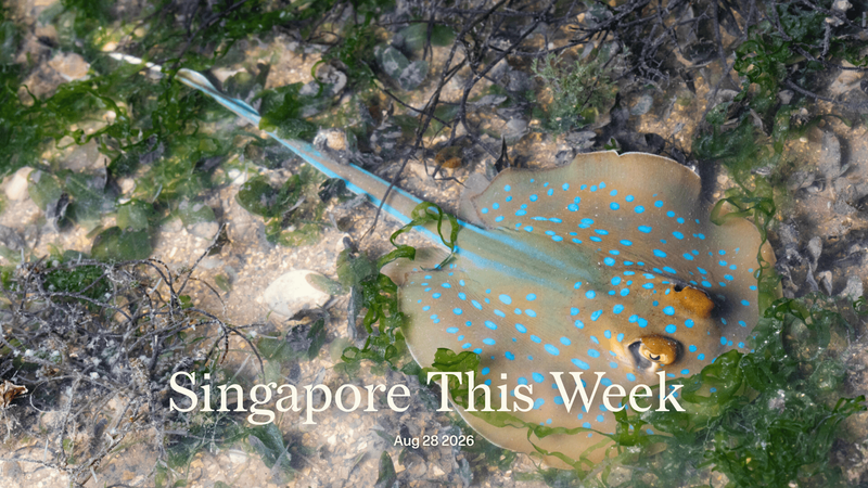 Singapore This Week