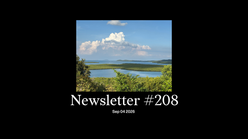 #208: Riau, and the impact of SG’s ‘clean’ energy drive